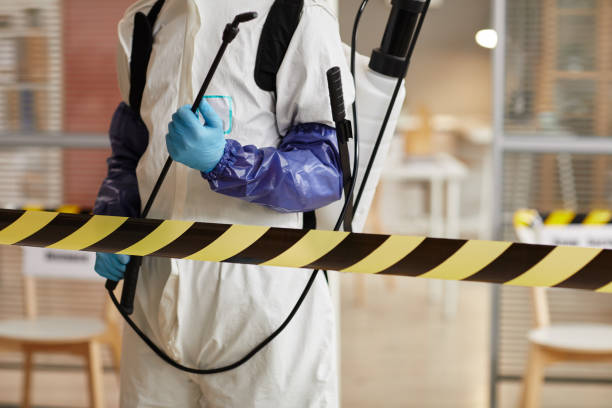 Professional Sewage Cleanup technician working in Ozark, AR